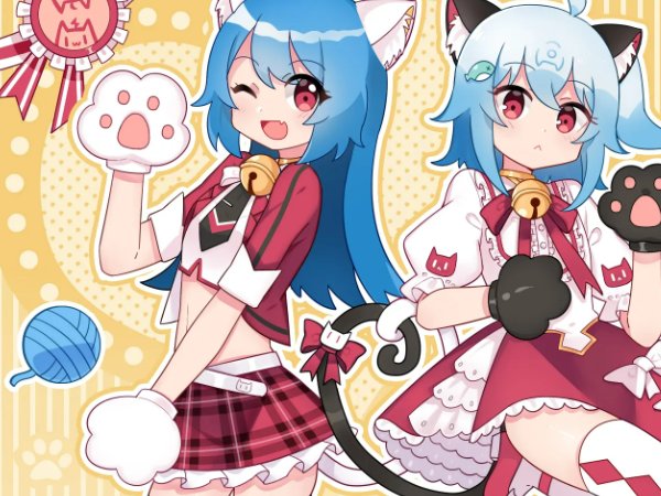 有什么软件可以看b站？