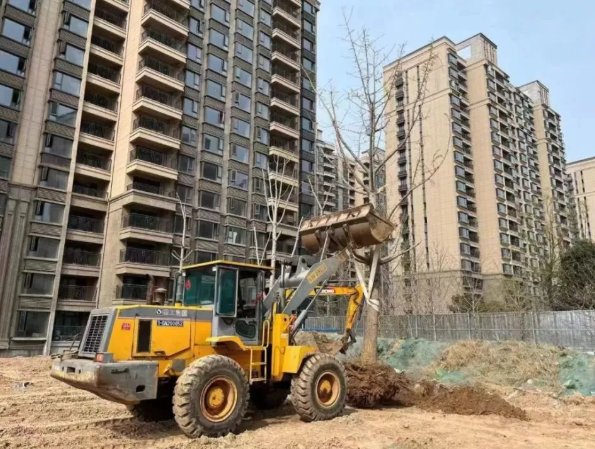 商丘一期房停工，多位业主搬砖自建，为何能将业主逼到这一地步？