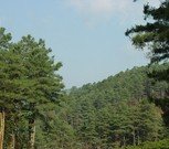 地球上有哪些资源？