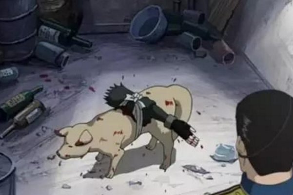 同归于尽意思解释