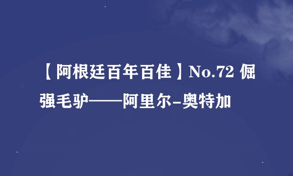 【阿根廷百年百佳】No.72 倔强毛驴——阿里尔-奥特加