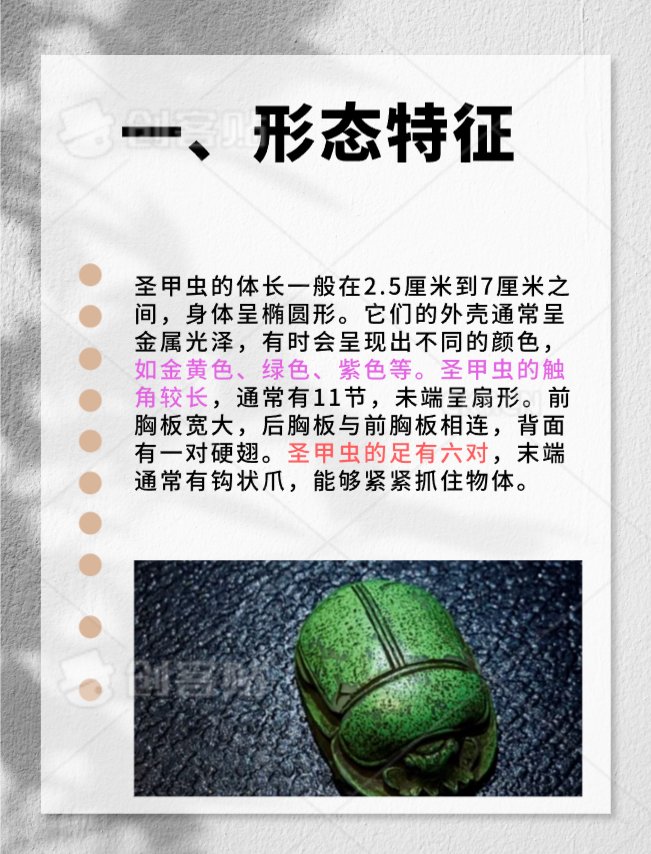 昆虫记圣甲虫特点概括