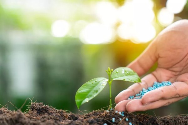 肥料十大品牌