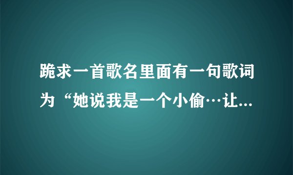 跪求一首歌名里面有一句歌词为“她说我是一个小偷…让我保护她的梦…”