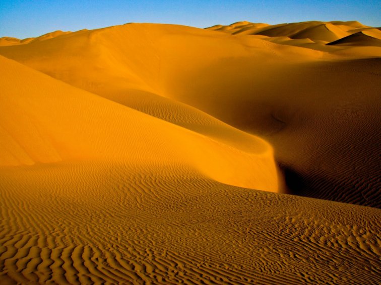 热情的沙漠原唱