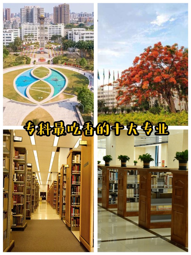 学什么好找工作