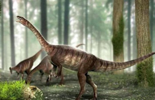 食草恐龙的食物