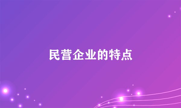 民营企业的特点