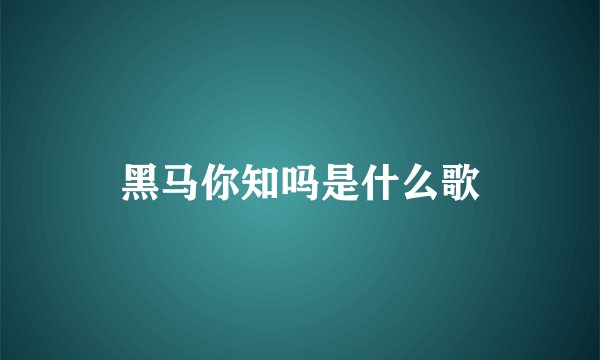 黑马你知吗是什么歌