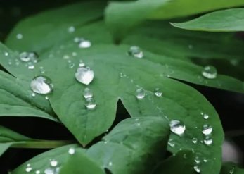 三九天会下雨吗