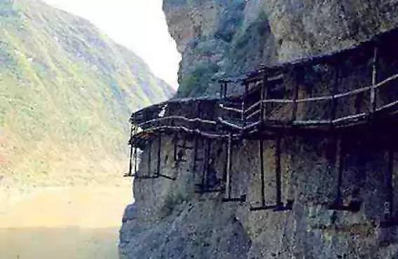 奥斯汀·史蒂文斯的介绍