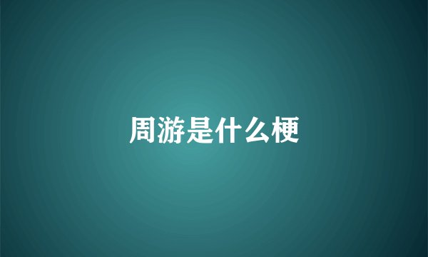 周游是什么梗