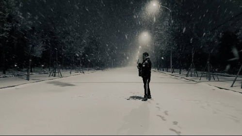 老狼在北京初雪纷飞中弹唱《北京的冬天》,他的歌声为何如此具有感染力?