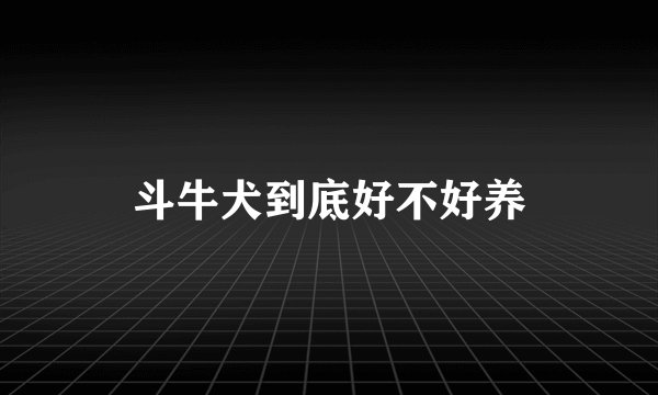 斗牛犬到底好不好养