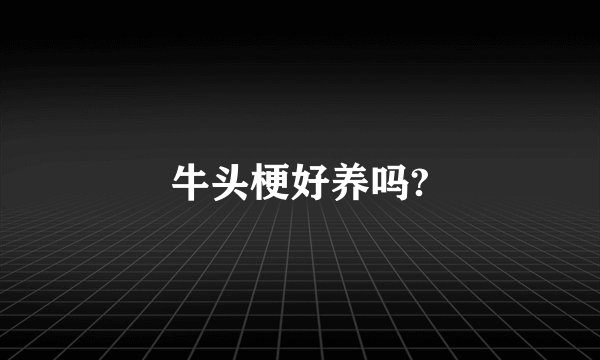 牛头梗好养吗?