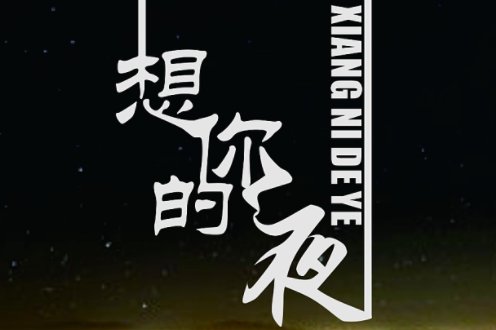 想你的夜歌词